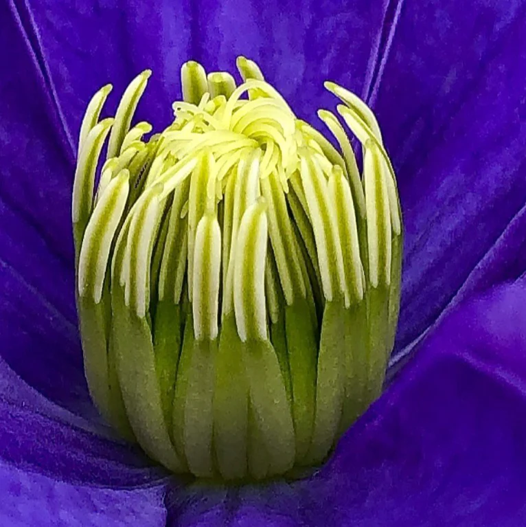 Miniatuur 4