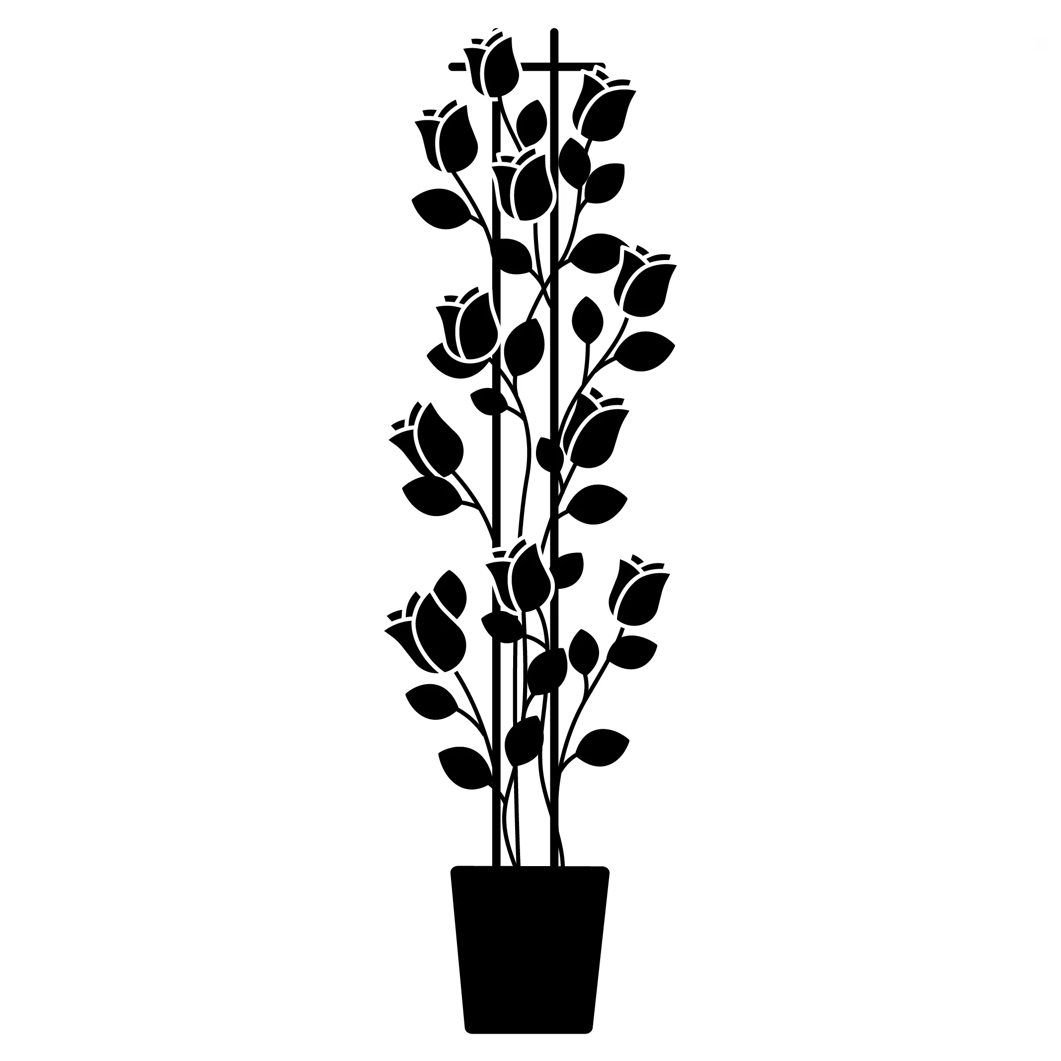Miniatuur 3