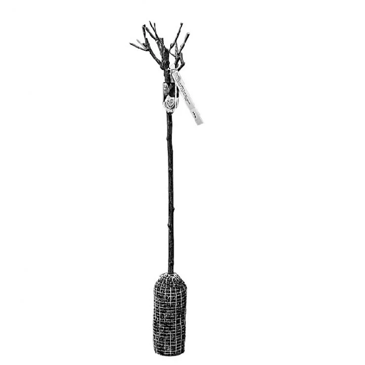 Miniatuur 6