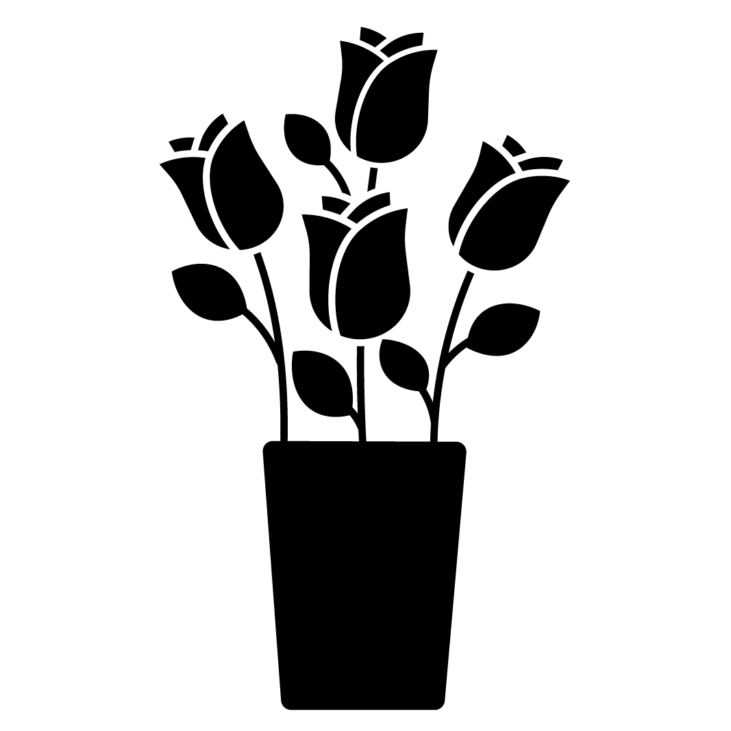 Miniatuur 4