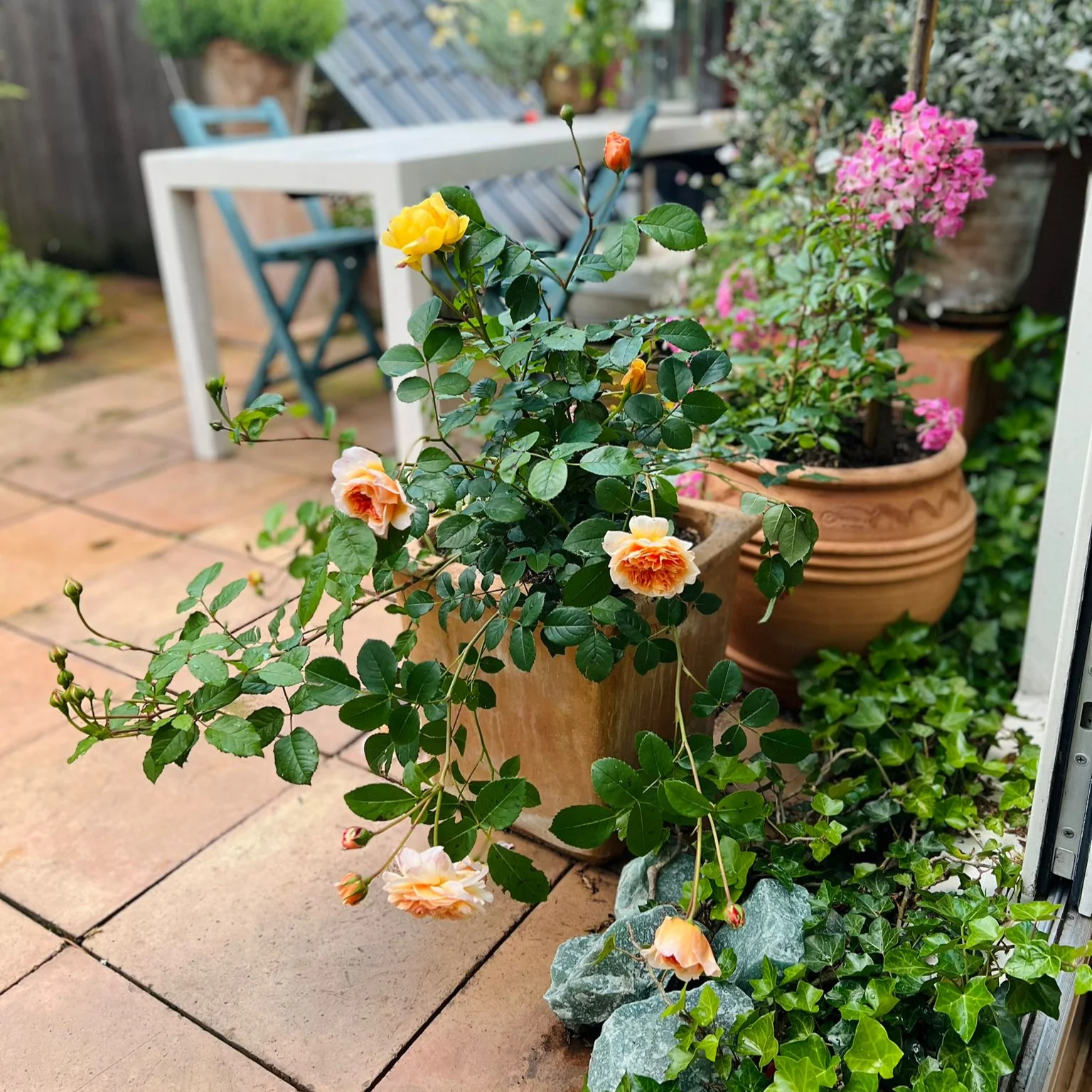 Miniatuur 5