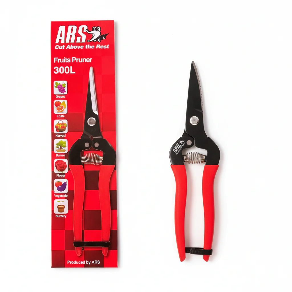 Miniatuur 2